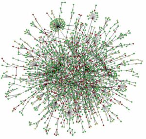 Visualisation d'un réseau d'interaction protéine-protéine chez la levure du boulanger [Jeong et al., 2001]